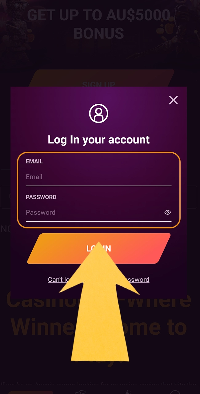 Enter your Casinonic username and password to access your account.