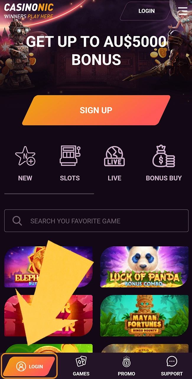 Open the Casinonic login form on the official website to start.